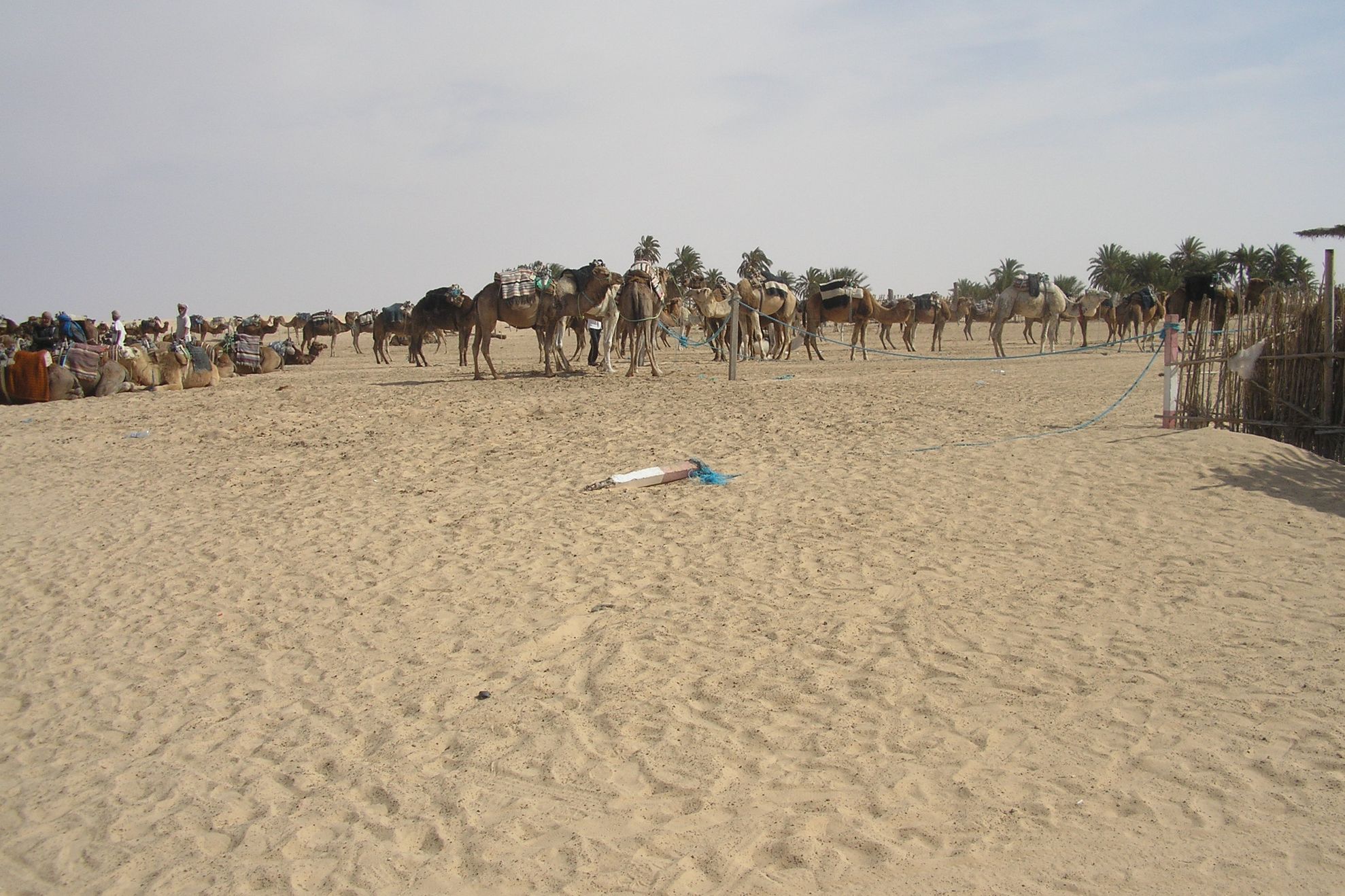Tunisia