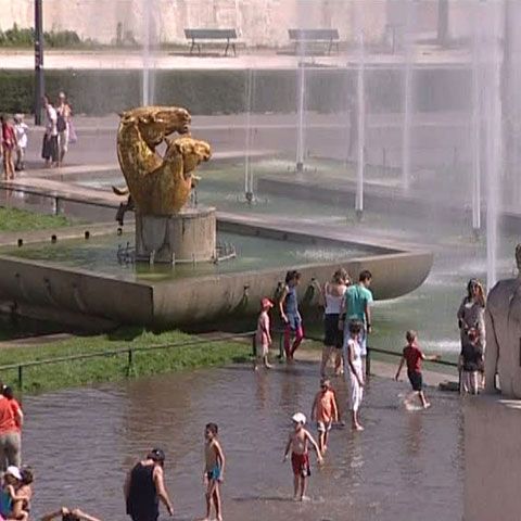Canicula a pus stăpânire pe mai multe ţări din Europa 