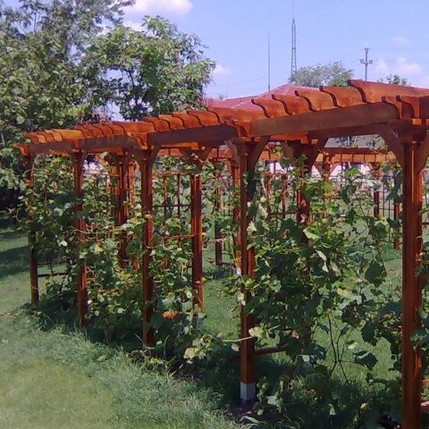 Primarul Liviu Negoiţă cheltuieşte patru milioane de euro pe fântâni şi 84.000 de euro pe două pergole