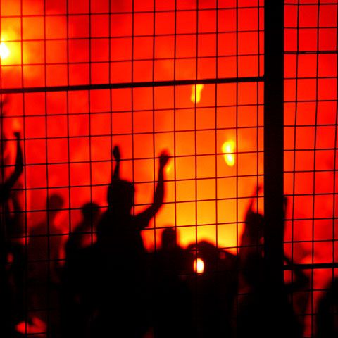 Becali luptă contra huliganismului: Pun sârmă ghimpată în Ghencea! Cum comentaţi?