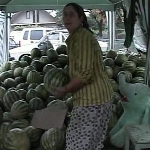 La Cluj, pepenii din pieţe se vând şi pe bonuri de masă