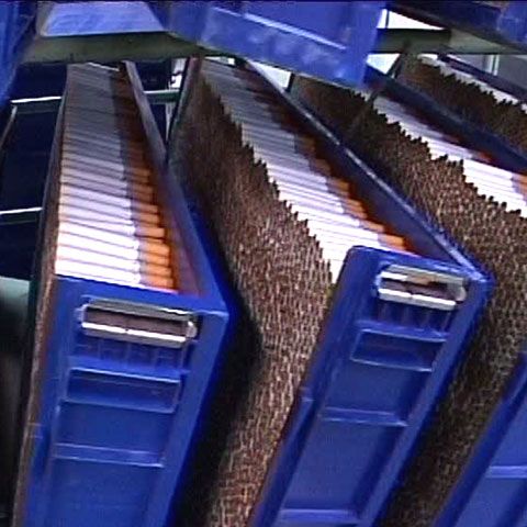 Philip Morris va plăti daune de 13,8 milioane de dolari fiicei unei fumătoare 