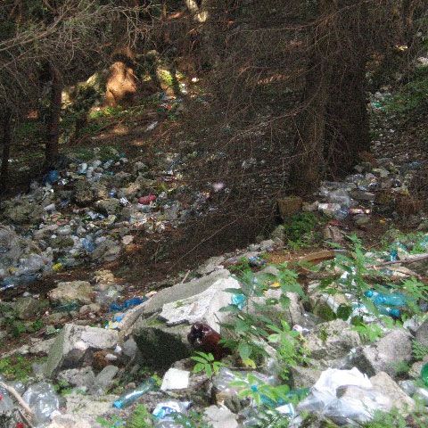 Ecologiştii acuză primăria Sinaia de dezinteres în problema gunoaielor aruncate în natură