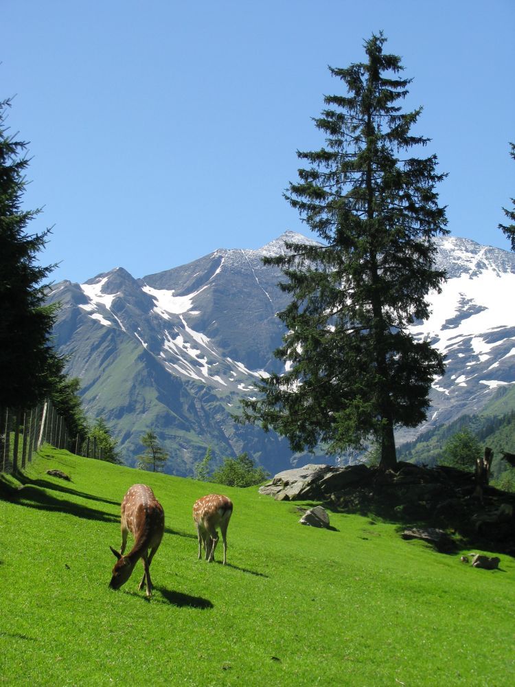 Austria