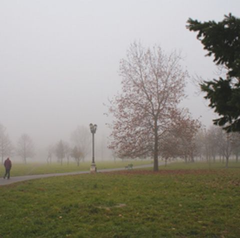 Pagubele din Parcul Izvor, după concertul Madonnei, se ridică la un milion de lei