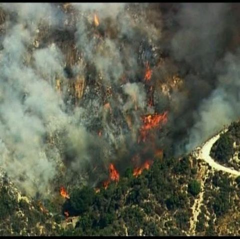 Incendiile de pădure fac ravagii în sudul Californiei 