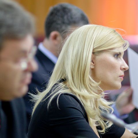 Elena Udrea la comisia de anchetă: S-a certat, a chemat liftul şi a plecat