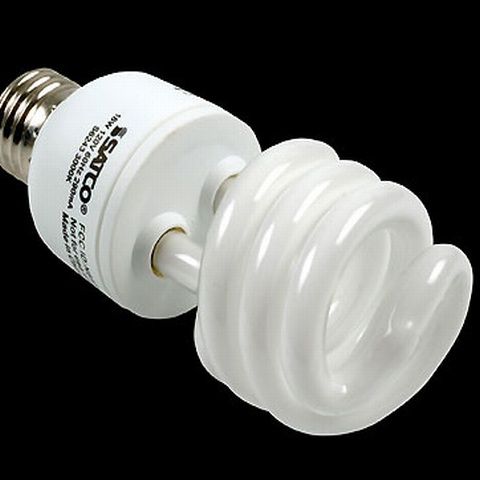 Becurile ecologice sunt toxice
