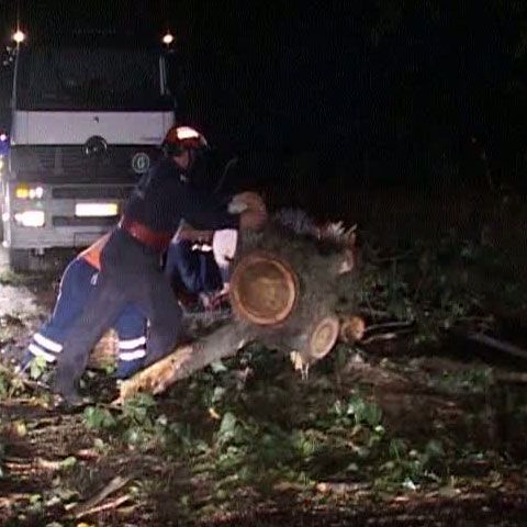 Vremea face victime: O maşină plină cu oameni a izbit un copac doborât de vijelie pe şosea