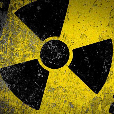 Ministerul Mediului a primit din partea Bulgariei o propunere de investiţie pentru construirea unui depozit de deşeuri radioactive