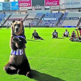 VIDEO / Real Valladolid s-a antrenat cu un urs