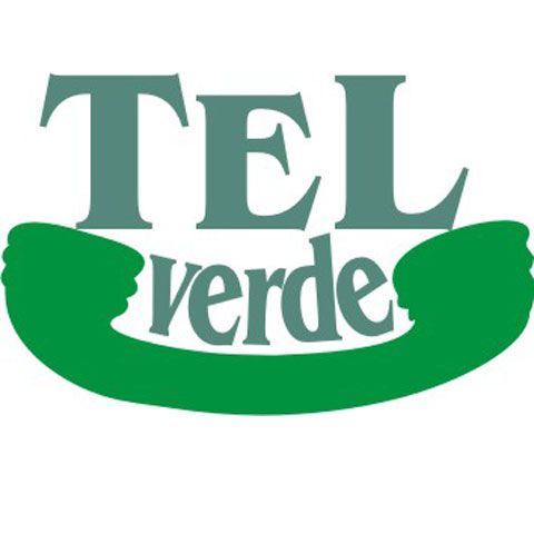 Primăria din Roma va deschide o linie telefonică gratuită pentru imigranţii români 