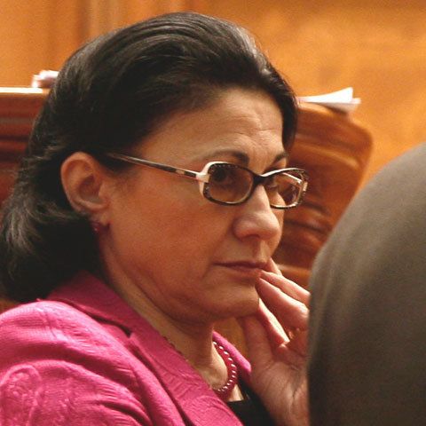 PD-L insistă pentru demiterea Ecaterinei Andronescu