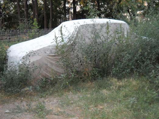 Rable abandonate în sectorul 6