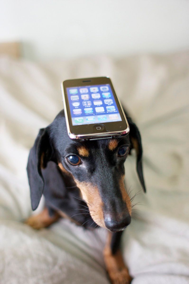 Date Check, prima aplicaţie de iPhone care îţi permite să îţi spionezi perechea