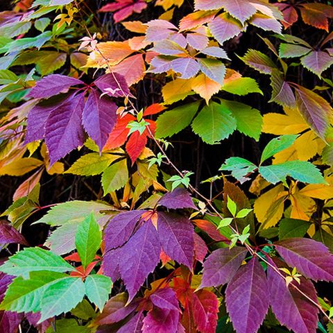 Vreme frumoasă duminică, cu maxime care depăşesc mediile multianuale. VEZI PROGNOZA METEO