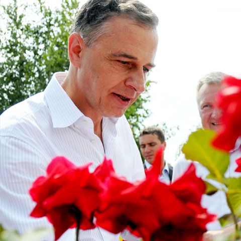 Geoană: Să-şi bage şi Băsescu picioarele în apă rece!