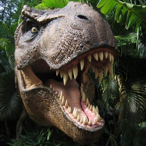 Cel mai mare T. Rex descoperit până acum, Sue, a fost ucisă de un parazit care traieşte şi astăzi