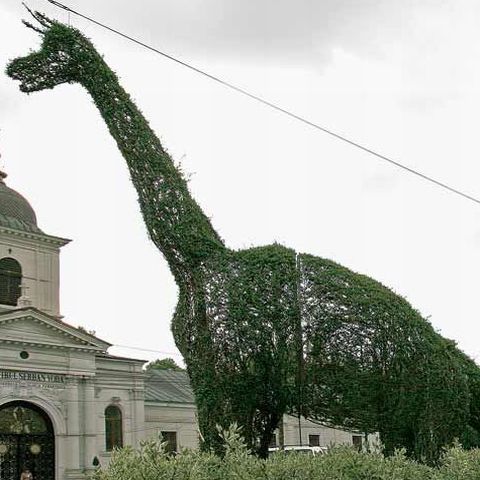 Dinozaurii şi elefanţii din sectorul 4, o amenajare de tip infantil, au spus peisagisţii