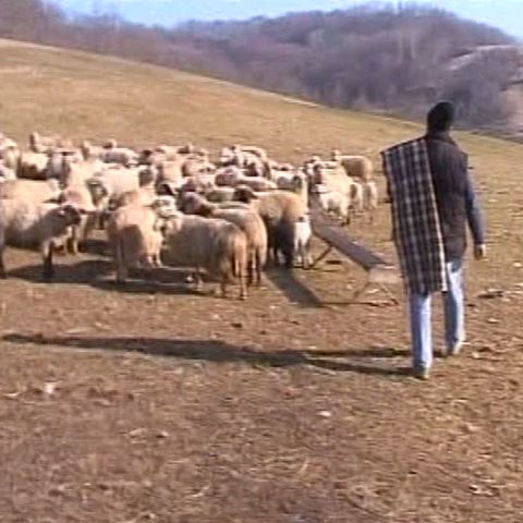 Sute de copii din zona Sebeşului au început şcoala pe 1 octombrie 