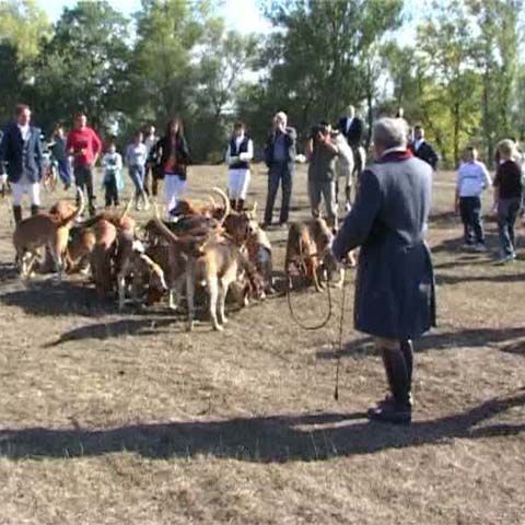 O vânătoare cu haită de ogari a fost organizată la Satu Mare