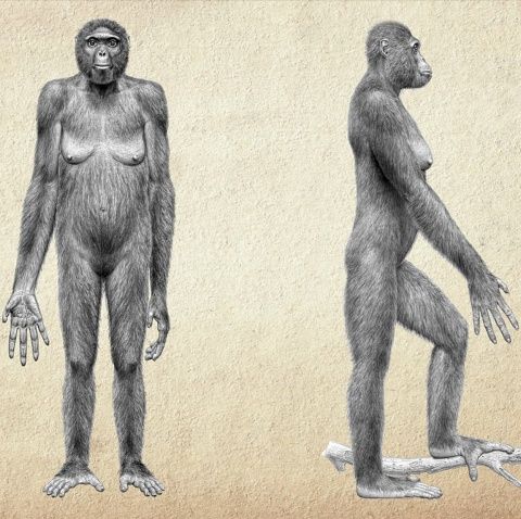 Un program Discovery Channel în exclusivitate  prezintă descoperiri revoluţionare despre evoluţia omului