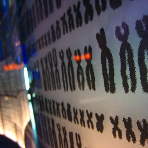 Nobelul pentru medicină, atribuit unei cercetări despre enzimele care asigură nemurirea