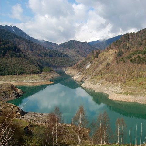Biodiversitatea suferă tot mai mult, potrivit unui studiu efectuat în opt ţări UE, inclusiv în România