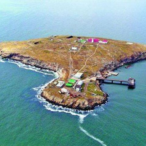 Iuşcenko ordonă apărarea drepturilor Ucrainei în zona economică exclusivă din jurul Insulei Şerpilor