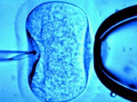 Fertilizarea in vitro rămâne legală