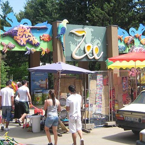 Săptămâna internaţională a vieţii sălbatice, sărbătorită în acest weekend la Grădina Zoologică Bucureşti