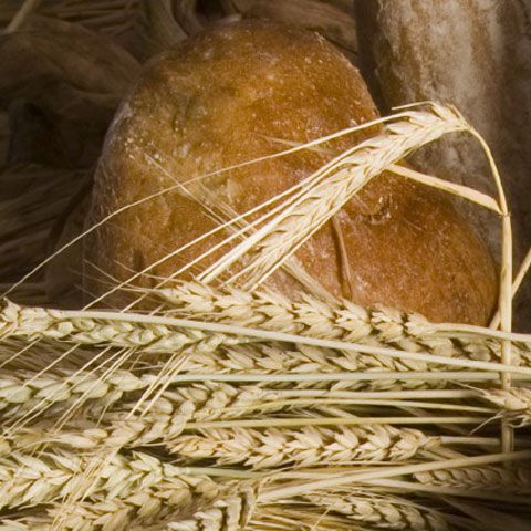Grâul s-a ieftinit, dar preţul pâinii rămâne neschimbat 
