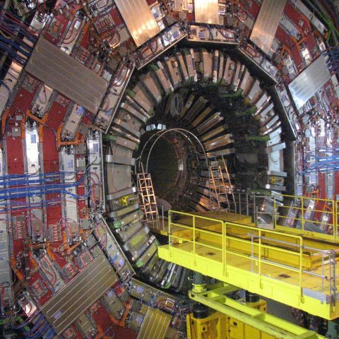 Un membru Al-Qaeda înfiltrat la CERN a fost arestat