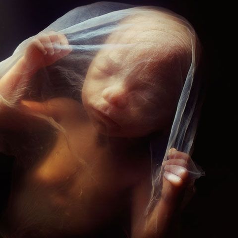 O mama şi-a infectat fătul cu celule canceroase 