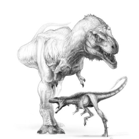 O treime din speciile cunoscute de dinozauri nu au existat niciodată
