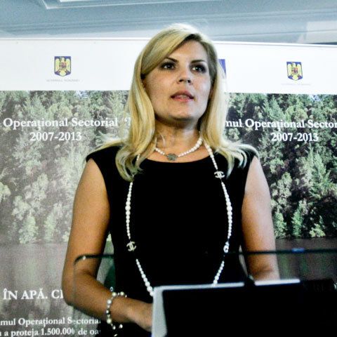 Elena Udrea l-a refuzat pe Lucian Croitoru pentru Traian Băsescu