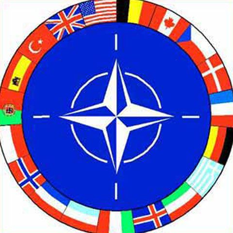 NATO trebuie să facă economiii în 2010