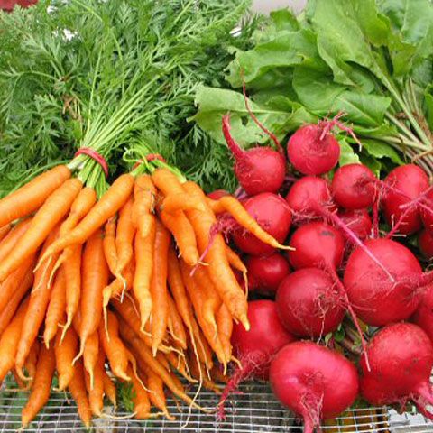 Suprafaţa cultivată cu fructe şi legume ecologice a crescut în 2009