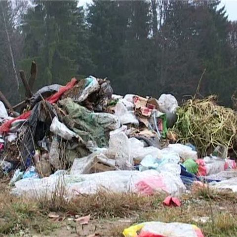 În Parcul Natural Defileul Mureşului există o groapă de gunoi ilegală