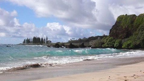 Udrea: Vom relua procesul de implementare a legii tichetelor de vacanţă în 2010 