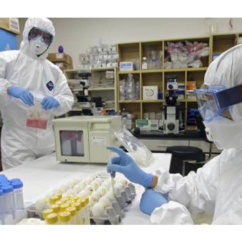 Ucraina confirmă că 39 de decese au fost provocate de virusul gripei porcine