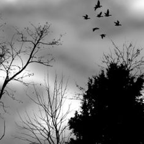 Zile friguroase, urmate de o încălzire uşoară a vremii - VEZI PROGNOZA PENTRU SĂPTĂMÂNA VIITOARE