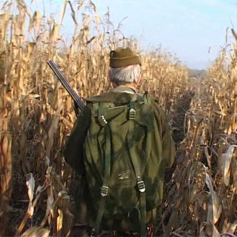 În Maramureş a fost deschis sezonul de vânătoare