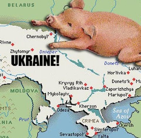 64 de persoane au murit în Ucraina din cauza gripei porcine şi a problemelor respiratorii