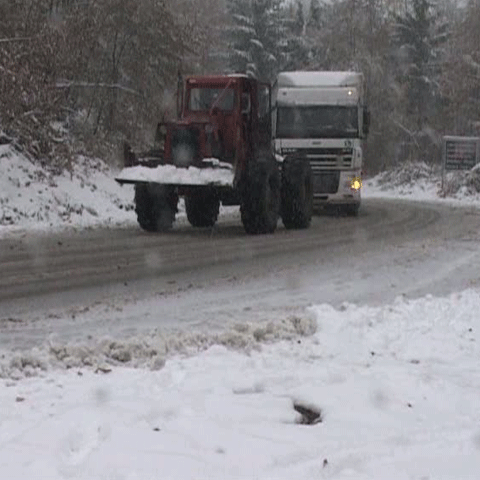 Mai mulţi şoferi au rămas blocaţi în Pasul Gutâi din cauza ninsorii 