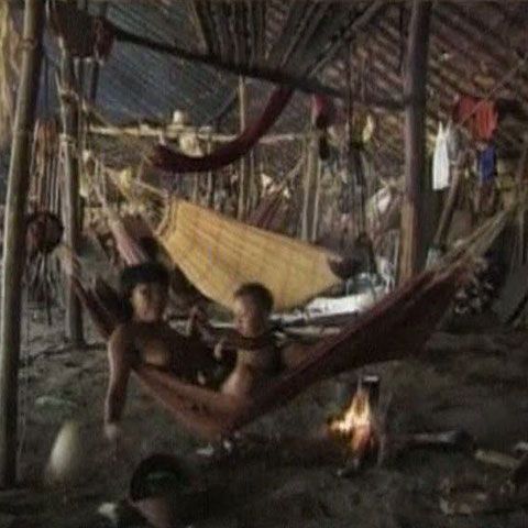Gripa porcină face victime în triburile de indieni din regiunea Amazonului 