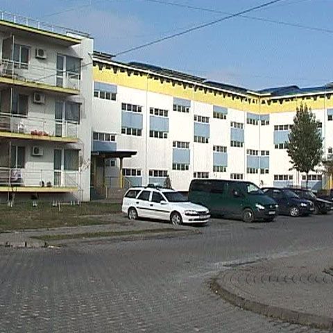 Locatarii blocurilor ANL din Focşani sunt invadaţi de şoareci 