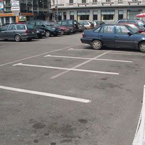 Primăria Capitalei vrea parcări cu pavele ecologice