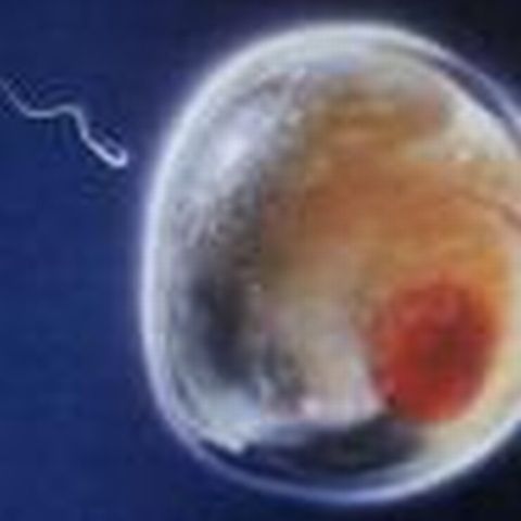 Un copil va putea avea trei părinţi biologici