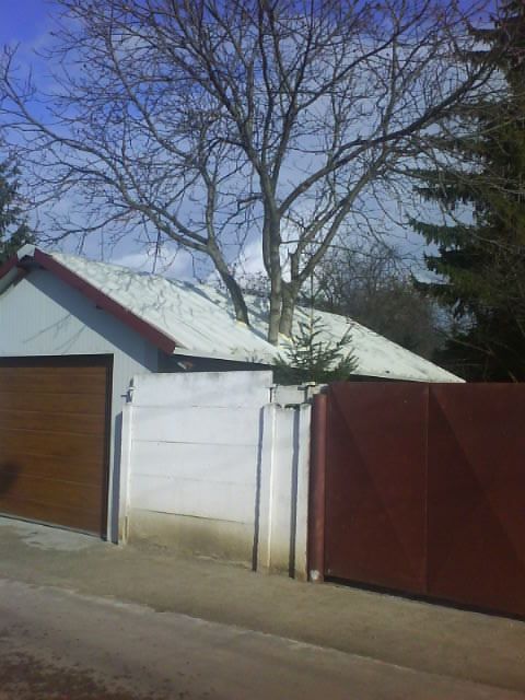 Garaj construit în jurul unui copac